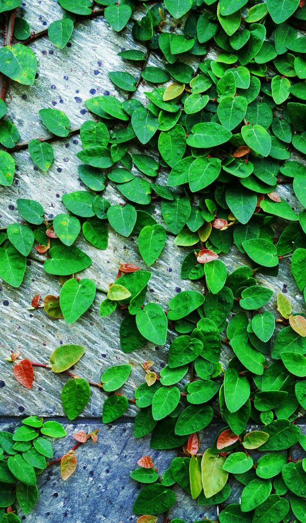 aromaltexture2~1
